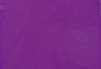 Purple Uni